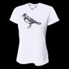 Ladies' Birds-Eye Mesh V-Neck T-Shirt Thumbnail