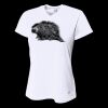 Ladies' Birds-Eye Mesh V-Neck T-Shirt Thumbnail