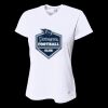 Ladies' Birds-Eye Mesh V-Neck T-Shirt Thumbnail