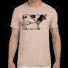 GILDAN Unisex Softstyle Tee Thumbnail